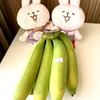 チェンマイの”緑で未熟のバナナ🍌”が熟すまでに何日かかるのか？ニャオかな調査員が見守り＆調査した結果は？！