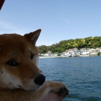 こだわりを　押し付けないでくださいね　前編　カフェのマダムはイギリス大好き！