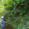 伐採に草刈り仕事