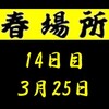 春場所14日目の８番と最高点の予想はこちら