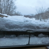 今年は雪が多い冬