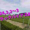 2024,3,2～3 トラックバイアス結果 (中山競馬場、阪神競馬場、小倉競馬場)