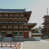 2010.2　薬師寺・唐招提寺・平城京跡（奈良市）