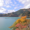奥多摩湖の紅葉 2020年11月8日