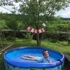 4歳誕生日プレゼントと旅行