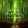 京都嵐山観光で最も美しい"体感できる絶景"『竹林の小径』