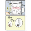 いよいよ帝王切開！〜前編〜