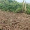 耕作放棄地30aを年1万円で借りて牧草地に変える