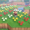 【あつ森31日目】雨続きでバラの交配が捗る〜♫