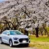 Q8と桜。