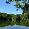 【三宝寺池 厳島神社】水と光と緑に包まれた小島の聖域