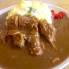 札幌市　カレー　準泰　/　昔は辛さに耐性が無かった