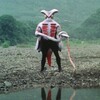奇械人電気エイ 