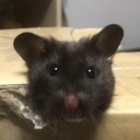 むー日記