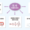 じじぃの「科学・地球_170_サイトカインとは何か・関節リウマチ」