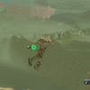 ゼルダの伝説BotW：プレイ日記17