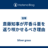 斎藤知事が芹香斗亜を返り咲かせるべき理由