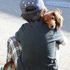 犬と子供の関係……