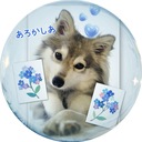 いっしょにあそぼ。
