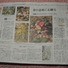 本日の讀賣新聞夕刊・・・桐原春子のはな紀行