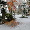 紅葉と積雪のコラボレーション