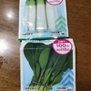 秋冬野菜の種まき