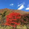 小旅行：南会津・日光（紅葉真っ盛り）