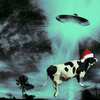 アメリカ　今年のクリスマスは、UFOが見れるチャンスである理由