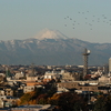 今日の富士山