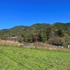 神奈川県最北の地域佐野川と山梨県境あたりを歩いてみた