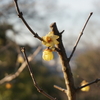【家計管理日記】2月の振り返り