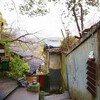 Birthday旅行記③瀬戸内ひろしま、宝しま 〜猫の細道〜