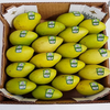 Mango Distributors: A Turnkey Provider of Mangos Varieties in All-Season