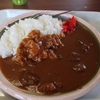 激旨！  カレーライス！！   南淡路サービスエリア（上り）フードコート＠兵庫県南あわじ市阿那賀