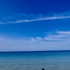 秋の南紀白浜旅行　第2日目