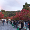 ［新型コロナ］京都嵐山・感染者激増のなか「観光地で混雑」の報道