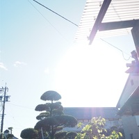 三連休三日目、文化の日