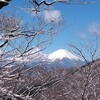 丹沢大倉尾根の雪景色