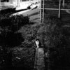 春夏秋冬、隅田川