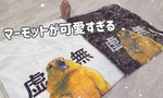 【OL日記】マーモットグッズが可愛すぎる