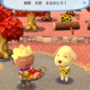 【どうぶつの森 ポケットキャンプ】 レベル8までに追加される住人(テーマ.クールタイプ)キャンプ場に招待する方法まとめ【ポケ森】