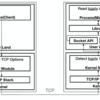 新たにカーネルでTCPオプションヘッダに書き込んだ情報をTCPセッション確立時にユーザランドでどう取得すべきか