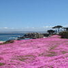 Monterey California