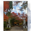 2022年秋のくるまひとり旅　①福岡の紅葉スポット、呑山観音寺のドウダンツツジがすごいのなんのって驚いたの巻。