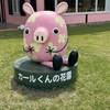 【千葉】千葉県にある東京ドイツ村に行く。