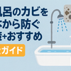 お風呂のカビを根本から防ぐ対策＋おすすめ用品｜完全ガイド