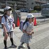 今日はアツアツ亜熱帯！
