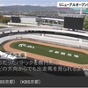 4.22  リニューアル京都競馬　注目馬