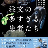 monkeydrummerのpqp