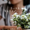 女性には「蓄膿」と言わず「副鼻腔炎」と言おう。